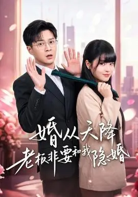 婚從天降老闆非要和我隱婚