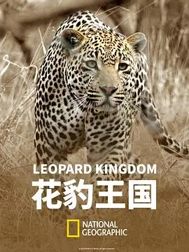 花豹王國