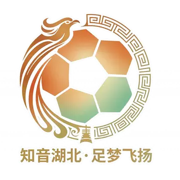 湖北省城市足球聯賽 武漢華工科技隊VS黃岡祥雲隊20260927